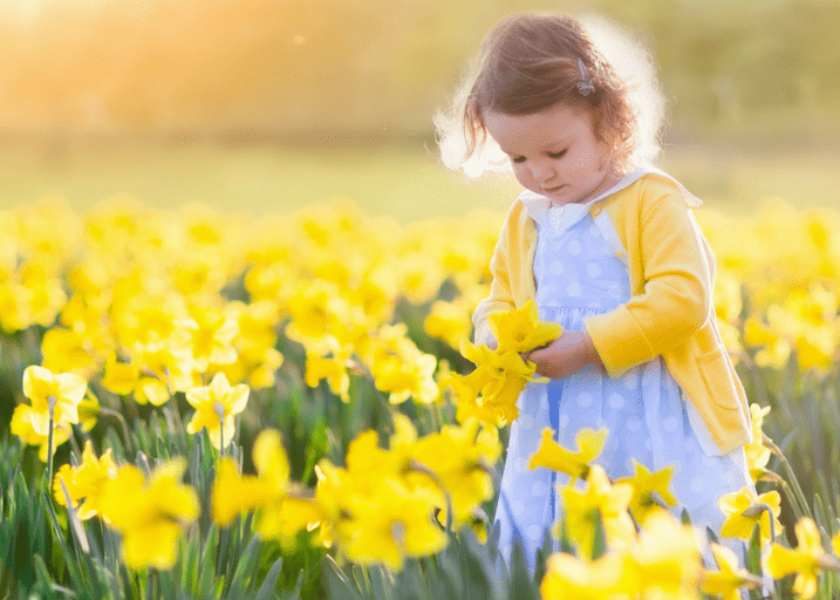 bambina in mezzo ad un prato di fiori in primavera con i pidocchi