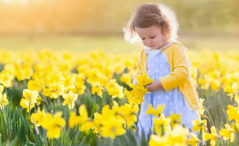 bambina in mezzo ad un prato di fiori in primavera con i pidocchi