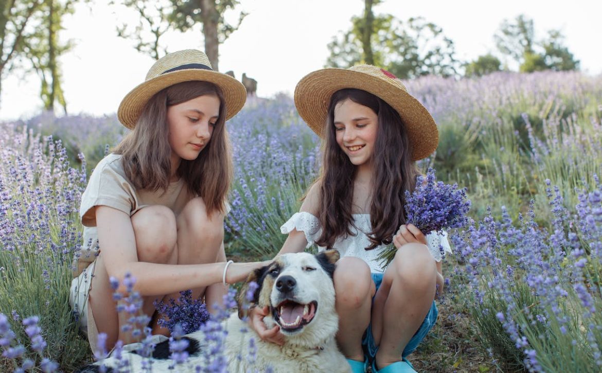 i pidocchi possono essere trasmessi dai bambini ai cani?