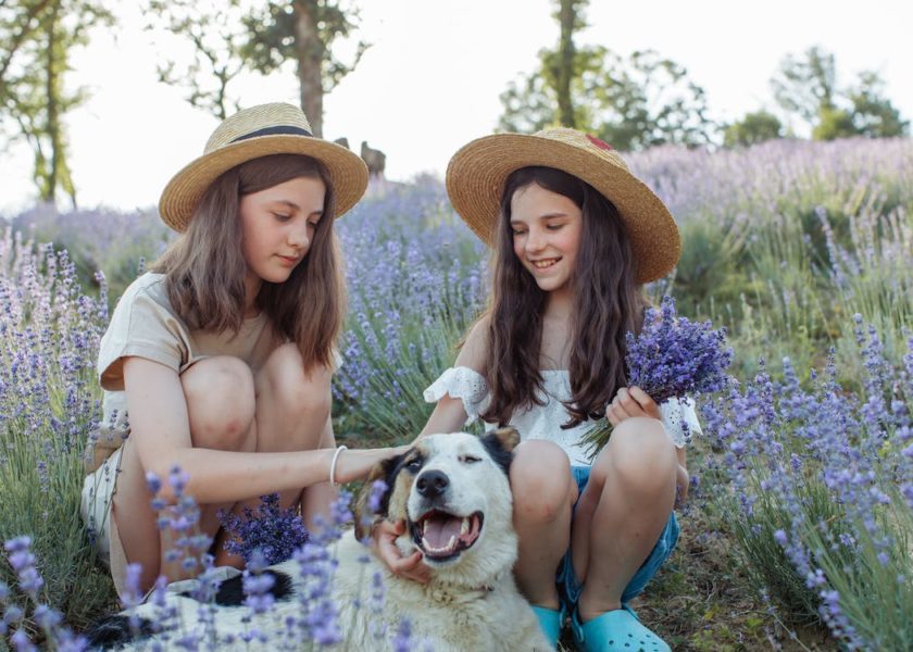 i pidocchi possono essere trasmessi dai bambini ai cani?